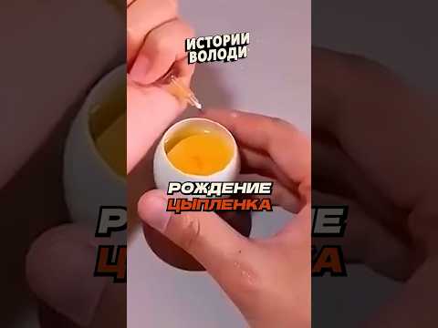 Удивительный ЭКСПЕРИМЕНТ ?