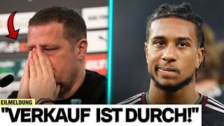 EILMELDUNG: TRANSFER-ALBTRAUM um OLISE bei BAYERN!