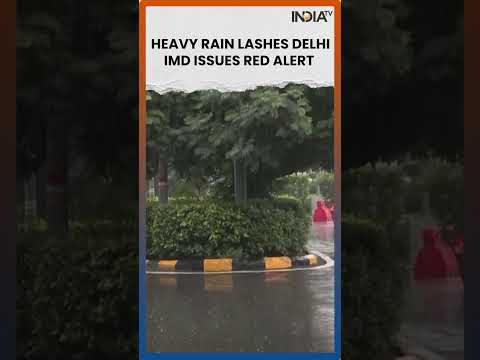Delhi Weather Update: Rain Hits Several Parts of the City #delhiweather  #shorts