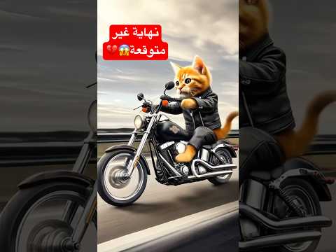 إتنمرو علي القط مياو عشان يتيم وفقير ولكنك أبهرهم بنجاحة الجبار🤩#cat #ai #funny #shorts #cute #sad