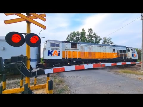 4 Perlintasan Kereta Api Jalur Utara | Palang LEN x ALTPRO | ALKMAAR