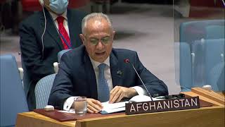 The situation in Afghanistan Security Council, 8831st meeting - Afghanistan Representative to the UN