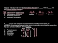Genetics Concepts and Punnett Squares