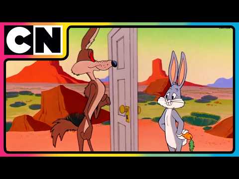 Looney Tunes 🐰| Wile E. Coyote’s Wildest Fails! | Animated Cartoon 😍| Best Cartoon 🥳| @cnindia