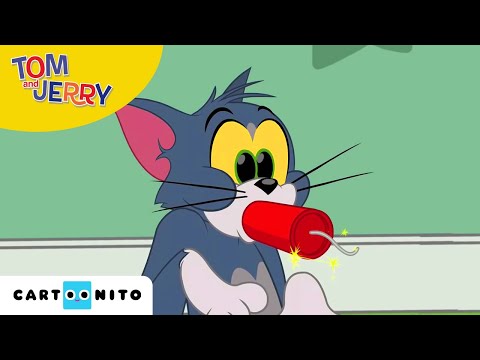 Tom und Jerry | Schlaflose Nacht | Cartoonito