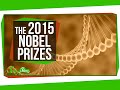 Nobel Prize Discoveries in Physics and Chemistry