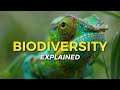 Biodiversity and Its Importance