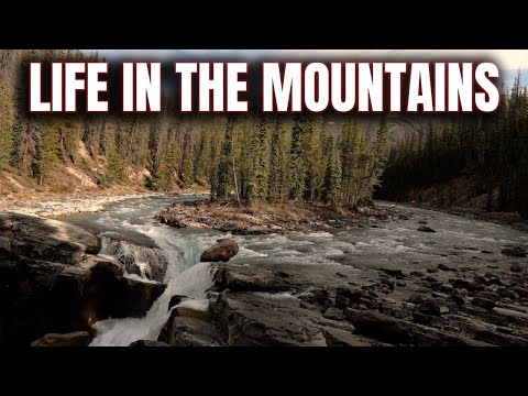 Life in the Mountains