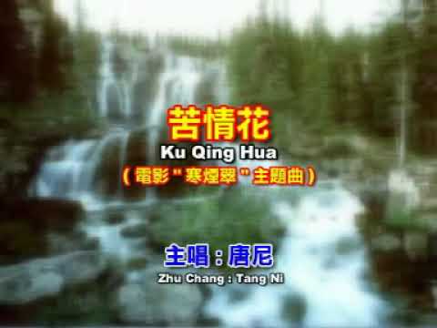 康尼   苦情花 【Original Karaoke】