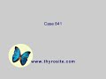 Understanding the Transcript