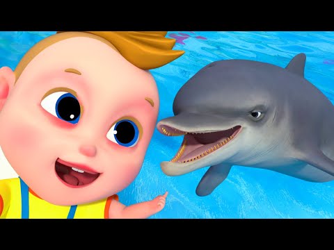 Colors Dolphin Dance Song | Play with Animal Babies | Nursery Rhymes & Kids Songs