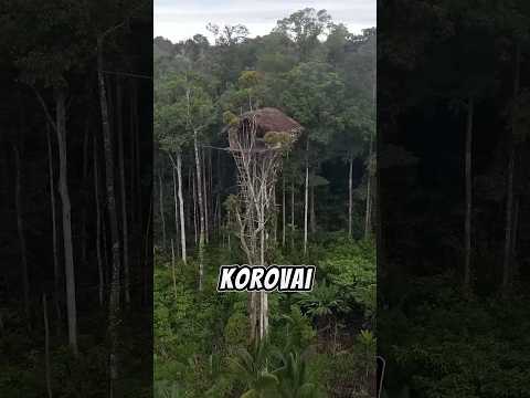 Ağaçların Üzerinde Bir Köy! 🌲🏠 İnanılmaz Yaşam Tarzı