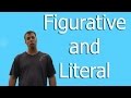 Understanding Figurative Language and Usage