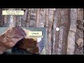 Identifying and Classifying Sedimentary Rocks