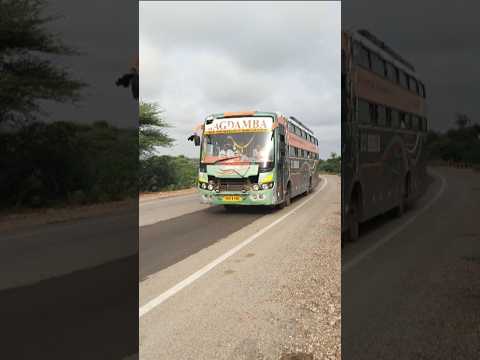 amazing 😎 jagdamba travels #shortsvideo #trending #driverlife #bus