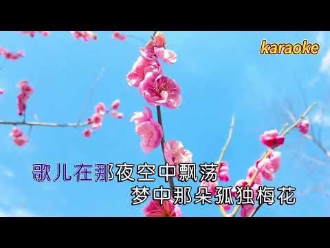 魏鬆 不再孤獨梅花karaokeKTV 伴奏 左伴右唱 karaoke 卡拉OK 伴唱 instrumental魏鬆 不再孤獨梅花karaoke