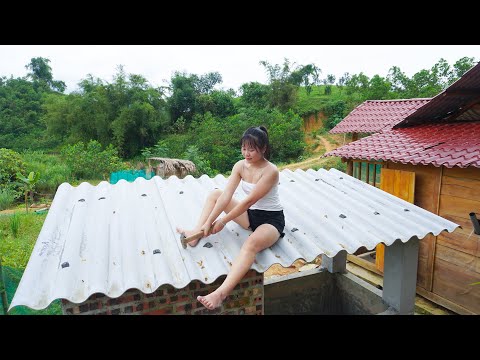 Re-roof the Bathroom and Toilet - Buy flock of ducklings to raise | Chuyen Bushcraft