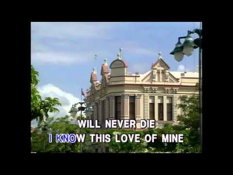 And I Love Her – The Beatles (Karaoke Cover)