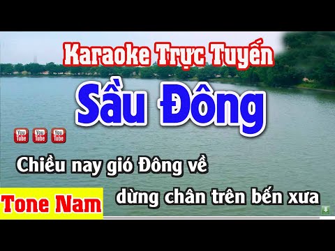 Sầu Đông Karaoke Tone Nam | Nhạc Sống Thanh Ngân