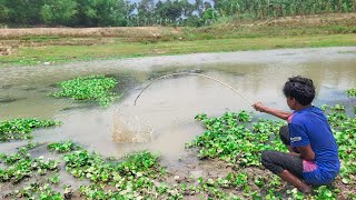 New Best Hook Fishing Video | Traditional Fish Catch With Hook in pond #fish
