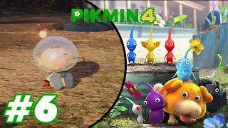 🔴 Pikmin 4 #6 - Saving Private Olimar