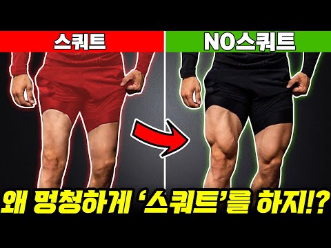 요즘은 보디빌더들도 '스쿼트'를 안한다는데… 하체를 뭘로 키울까? [하체운동 루틴 모음집]