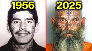 Cartel Members Who Outlived Insane Prison Sentences