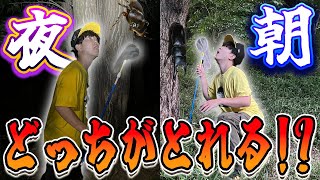 クワガタとカブトムシが１番とれる時間帯はいつなのか実際に調査してみたら驚愕の結果に…