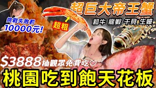【$3888桃園最狂帝王蟹吃到飽🦀】大胃王挑戰痛風餐吃爆全品項…🔥失敗罰$10000觀眾免費吃❤️A5和牛＋龍蝦＋干貝＋生蠔 天使紅蝦吃到飽｜桃園孫太太私料火鍋｜全品項開箱 大胃王挑戰 Mukbang