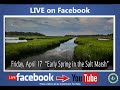 Salt Marsh Ecosystem Knowledge Assessment