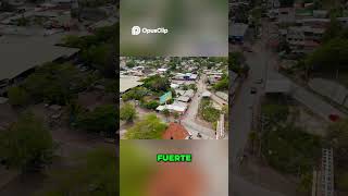 Identidad Visual del Puerto  Autenticidad y Modernidad