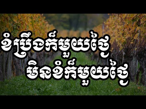 ខំប្រឹងក៏មួយថ្ងៃមិនខំក៏មួយថ្ងៃ