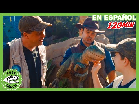 Cara a Cara con un T-Rex: Aventura en el Museo de Dinosaurios | 🦖 T-Rex Rancho | Moonbug Kids