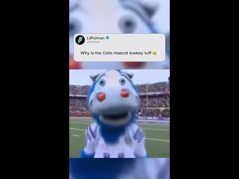 He shouldn't be the mascot, he should play in the league 😂