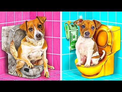 🐶✨ MEU CACHORRO MÁGICO REALIZA QUALQUER DESEJO! 😱💰 Rico vs. Pobre vs. GIGA Rico!