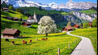 Gstaad Switzerland 🇨🇭 - The Most Beautiful Region of the Alps