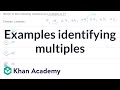 Understanding Multiples