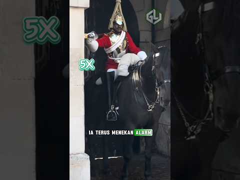 Kuda Pengawal Ini Hampir Tumbang, Tapi Satu Pria Menyadarinya Duluan