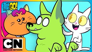😱 OMG! The Teen Titans Turn Into Cats 🐱 and Dogs 🐶?? | Teen Titans Go! | Cartoon Network Asia