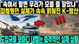 "속여서 팔면 우리가 모를 줄 알았냐" 감춰뒀던 실체가 속속 밝혀진 K-방산 도입국들 외마디 내뱉는 충격적인 실제 상황