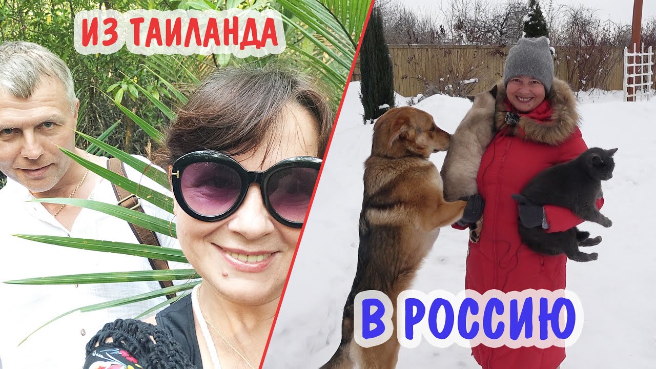 Наконец-то дома: из ТАИЛАНДА в РОССИЮ! Как отдохнули Чем заболели Встреча с животными!