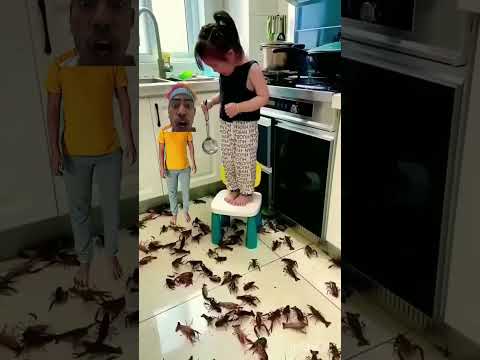 Mummy mummy Bachao cockroach hi cockroach Hai niche
