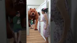 🐶🟡➡️ 👧😱🏃‍♀️#short , #phunganfamily