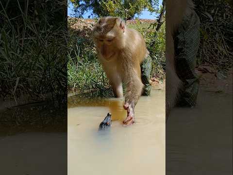 Great Video Of SokYaa,OG, To To And Mom Are Famous & Amazing #shorts