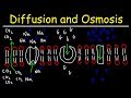 Exploring Diffusion, Osmosis, and Transport Mechanisms