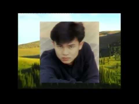 陳良泉  – 不裝飾你的夢 Original Karaoke