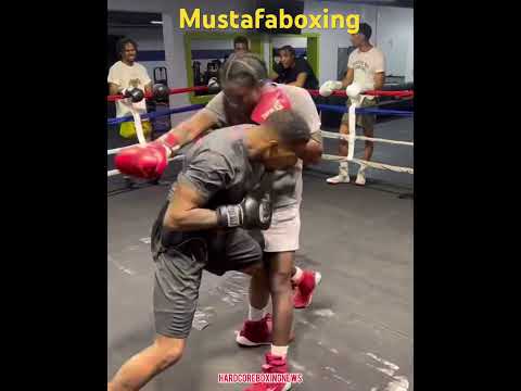 LOVE WATCHING MUSTAFASBOXING DOING THEIR THING #jbt #boxing Mustafaboxing