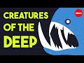 Deep-Sea Life and Adaptations