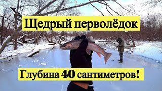 видео