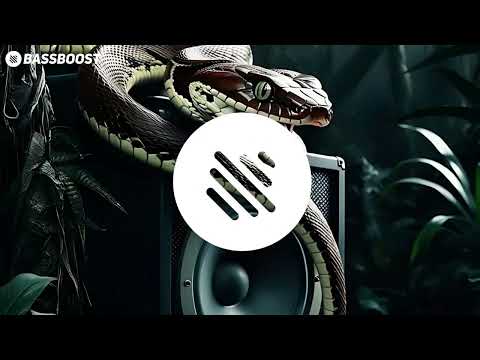 Grayson Todd - Turn It Up [Bass Boost]